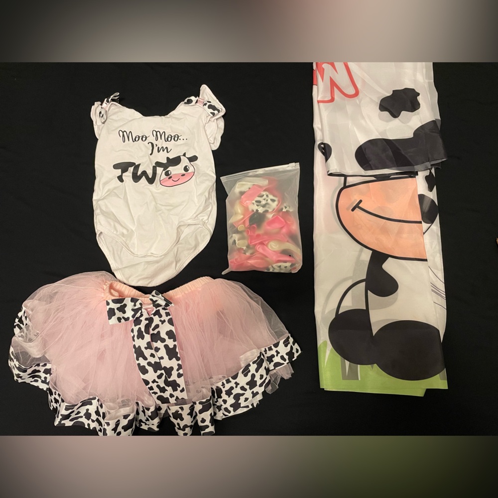 Two Year Birthday Decorations/ Outfit